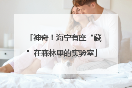神奇！海宁有座“藏”在森林里的实验室