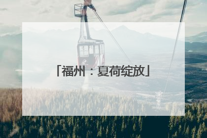 福州：夏荷绽放