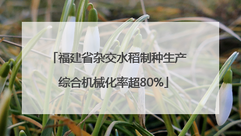 福建省杂交水稻制种生产综合机械化率超80%