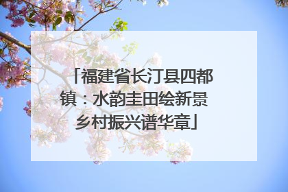 福建省长汀县四都镇：水韵圭田绘新景 乡村振兴谱华章