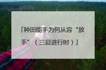 种田能手为何从容“放手”（三夏进行时）