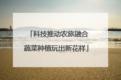 科技推动农旅融合 蔬菜种植玩出新花样