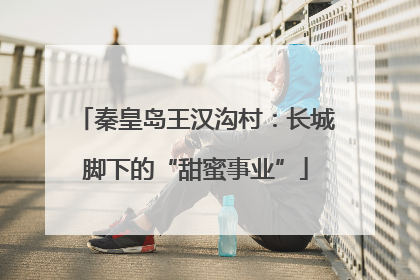 秦皇岛王汉沟村：长城脚下的“甜蜜事业”