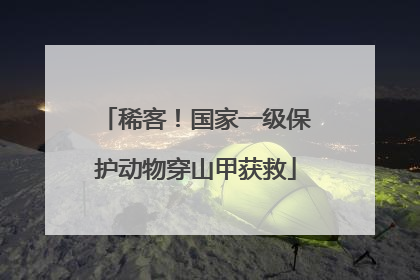 稀客！国家一级保护动物穿山甲获救