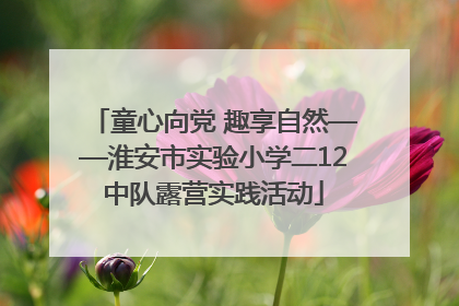 童心向党 趣享自然——淮安市实验小学二12中队露营实践活动