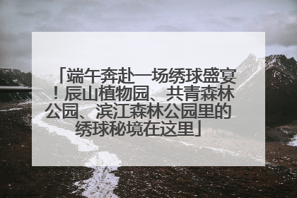 端午奔赴一场绣球盛宴！辰山植物园、共青森林公园、滨江森林公园里的绣球秘境在这里