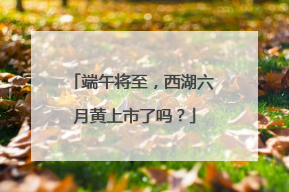 端午将至，西湖六月黄上市了吗？
