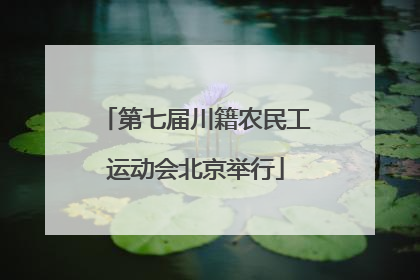 第七届川籍农民工运动会北京举行