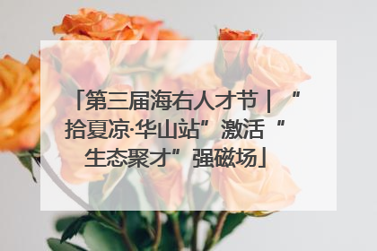 第三届海右人才节｜“拾夏凉·华山站”激活“生态聚才”强磁场