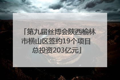 第九届丝博会陕西榆林市横山区签约19个项目 总投资203亿元