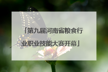 第九届河南省粮食行业职业技能大赛开幕