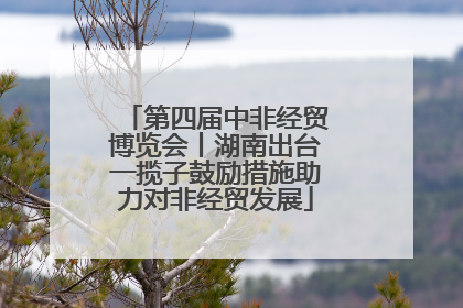 第四届中非经贸博览会丨湖南出台一揽子鼓励措施助力对非经贸发展