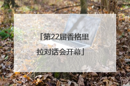 第22届香格里拉对话会开幕