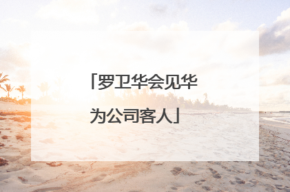 罗卫华会见华为公司客人