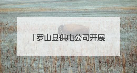 罗山县供电公司开展信通专业防汛演练