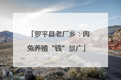 罗平县老厂乡：肉兔养殖“钱”景广
