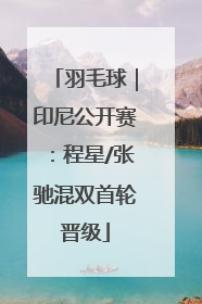羽毛球｜印尼公开赛：程星/张驰混双首轮晋级