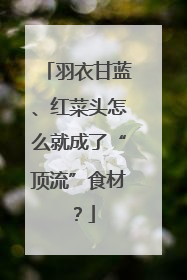 羽衣甘蓝、红菜头怎么就成了“顶流”食材？