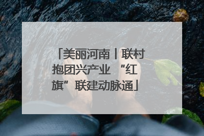 美丽河南丨联村抱团兴产业 “红旗”联建动脉通