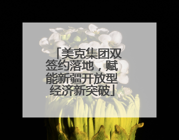 美克集团双签约落地，赋能新疆开放型经济新突破