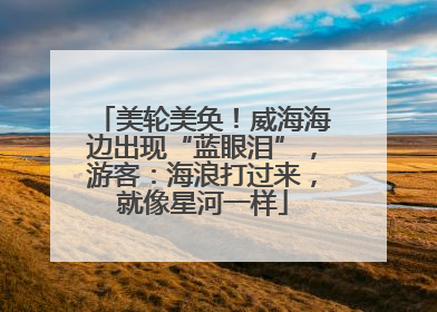 美轮美奂！威海海边出现“蓝眼泪”，游客：海浪打过来，就像星河一样