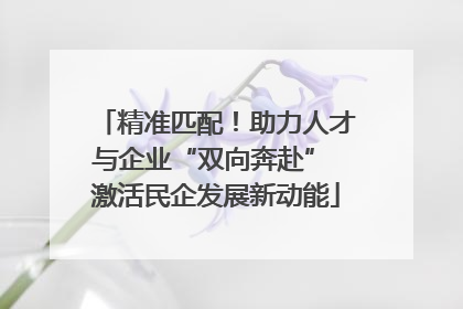精准匹配！助力人才与企业“双向奔赴” 激活民企发展新动能