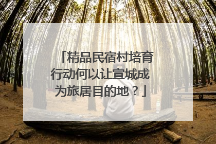 精品民宿村培育行动何以让宣城成为旅居目的地？