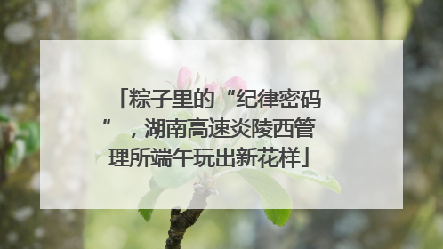 粽子里的“纪律密码”，湖南高速炎陵西管理所端午玩出新花样