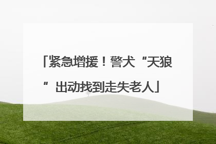 紧急增援！警犬“天狼”出动找到走失老人