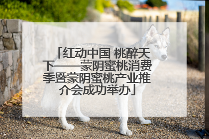 红动中国 桃醉天下——蒙阴蜜桃消费季暨蒙阴蜜桃产业推介会成功举办