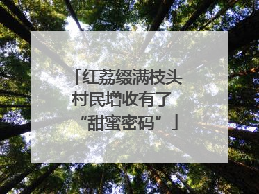 红荔缀满枝头 村民增收有了“甜蜜密码”