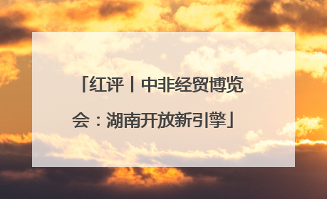 红评丨中非经贸博览会：湖南开放新引擎