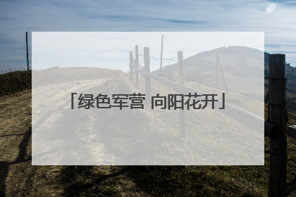 绿色军营 向阳花开
