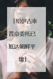 绍伊古奉普京委托已抵达朝鲜平壤