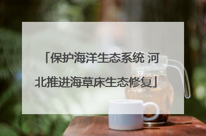 保护海洋生态系统 河北推进海草床生态修复