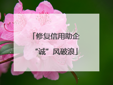 修复信用助企“诚”风破浪