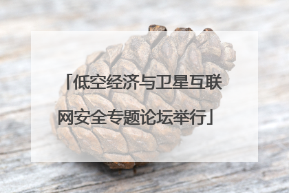 低空经济与卫星互联网安全专题论坛举行