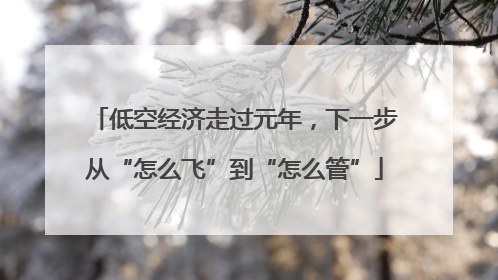 低空经济走过元年，下一步从“怎么飞”到“怎么管”