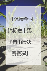 体操全国锦标赛丨男子自由操决赛赛况