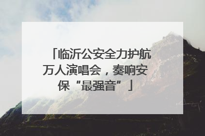 临沂公安全力护航万人演唱会，奏响安保“最强音”
