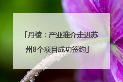 丹棱：产业推介走进苏州8个项目成功签约