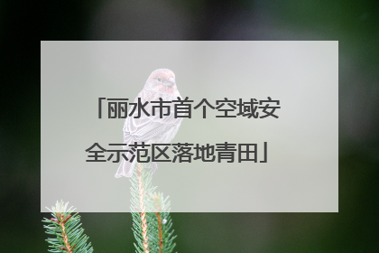 丽水市首个空域安全示范区落地青田