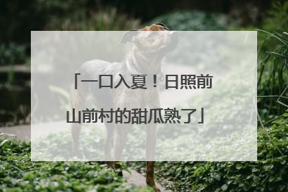 一口入夏！日照前山前村的甜瓜熟了