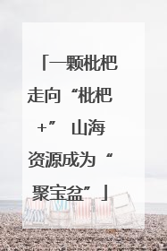 一颗枇杷走向“枇杷+” 山海资源成为“聚宝盆”