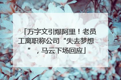 万字文引爆阿里！老员工离职称公司“失去梦想”，马云下场回应
