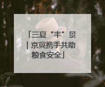 三夏“丰”景｜京冀携手共助粮食安全