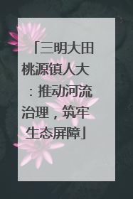 三明大田桃源镇人大：推动河流治理，筑牢生态屏障