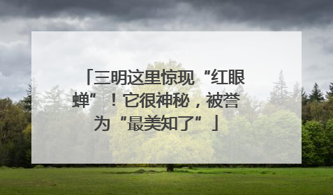 三明这里惊现“红眼蝉”！它很神秘，被誉为“最美知了”