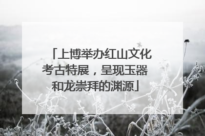 上博举办红山文化考古特展，呈现玉器和龙崇拜的渊源