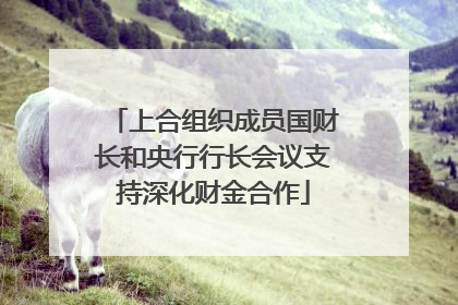 上合组织成员国财长和央行行长会议支持深化财金合作